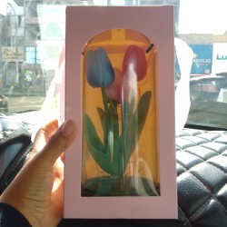 TULIPANES ARTIFICIAL ETERNO ✨🌷(DOCENA)