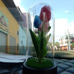 TULIPANES ARTIFICIAL ETERNO ✨🌷(DOCENA)