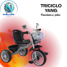 TRICICLO YANG